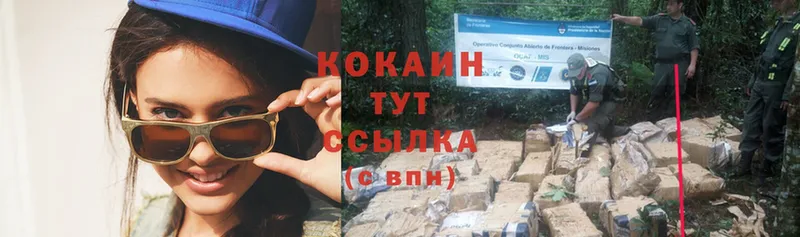 купить наркотики сайты  Волоколамск  Cocaine Эквадор 